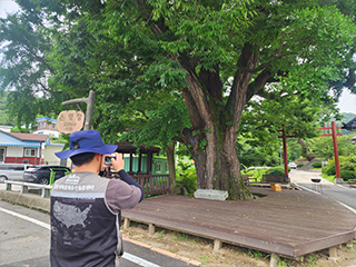 모니터링결과